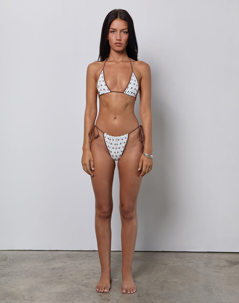 Pami Bikini Top in White and Brown Star Print with Contrast Binding